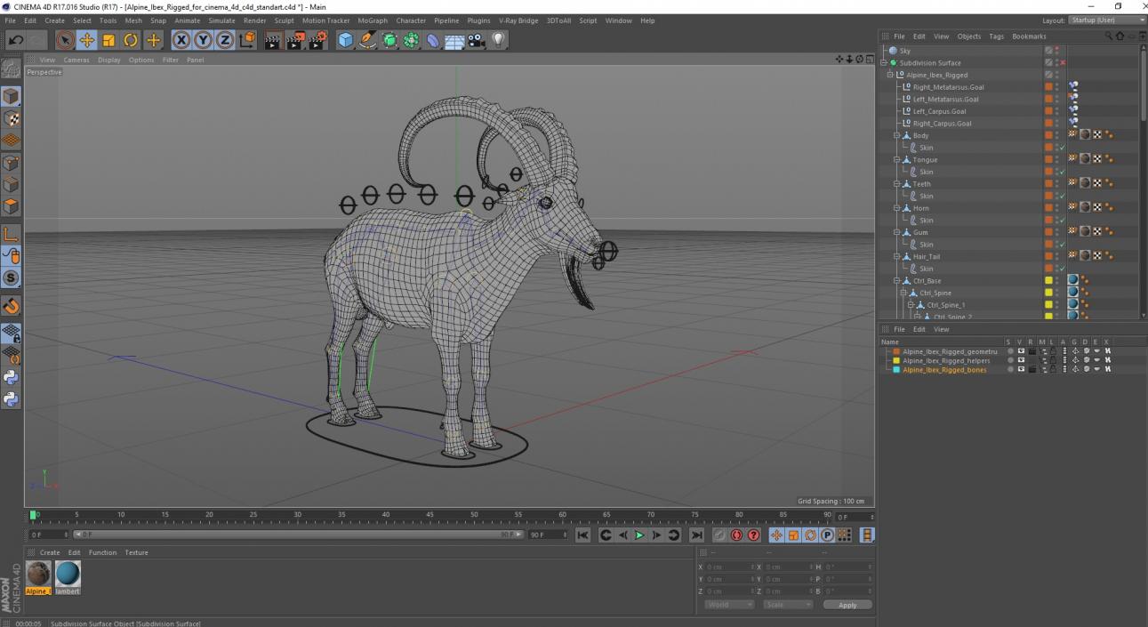 Alpine Ibex Rigged for Cinema 4D 2 3D model