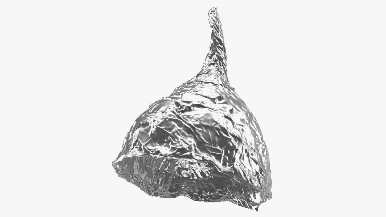 Tin Foil Hat 3D