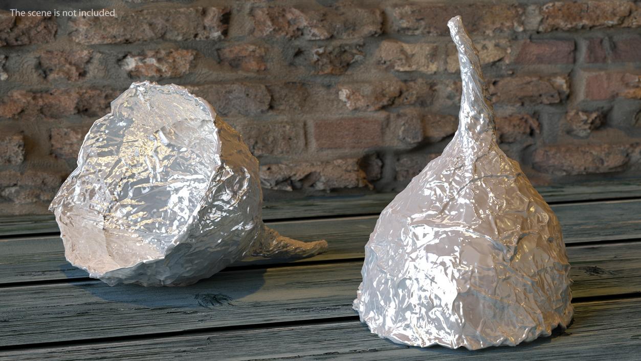 Tin Foil Hat 3D