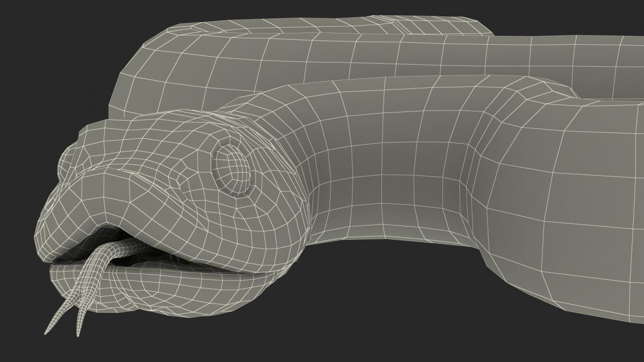 3D model Coiled Hognose Snake