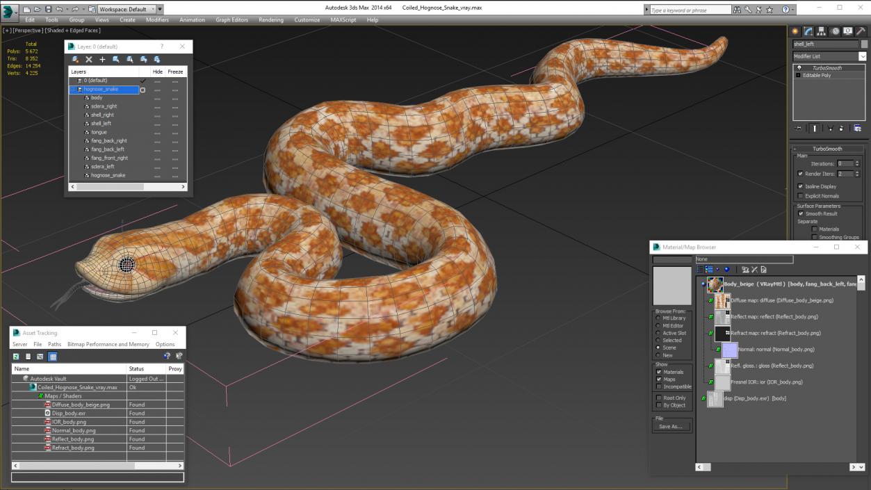 3D model Coiled Hognose Snake