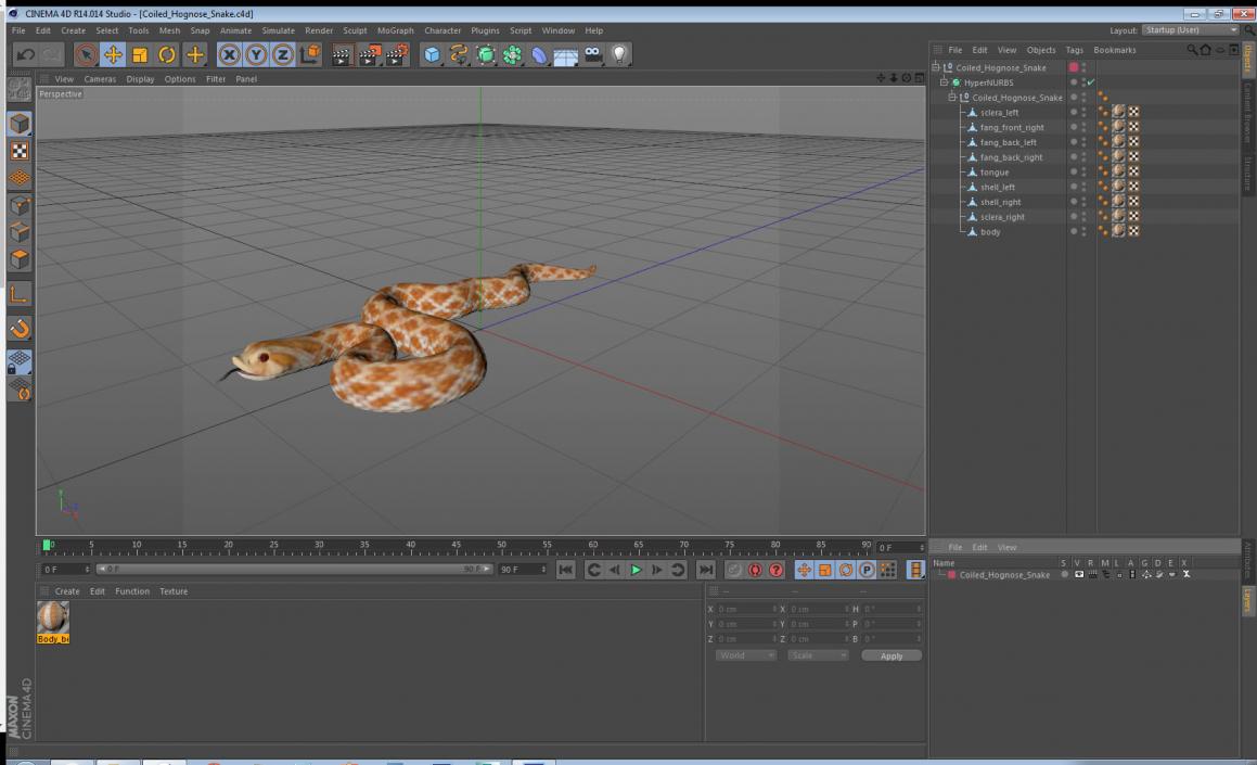 3D model Coiled Hognose Snake