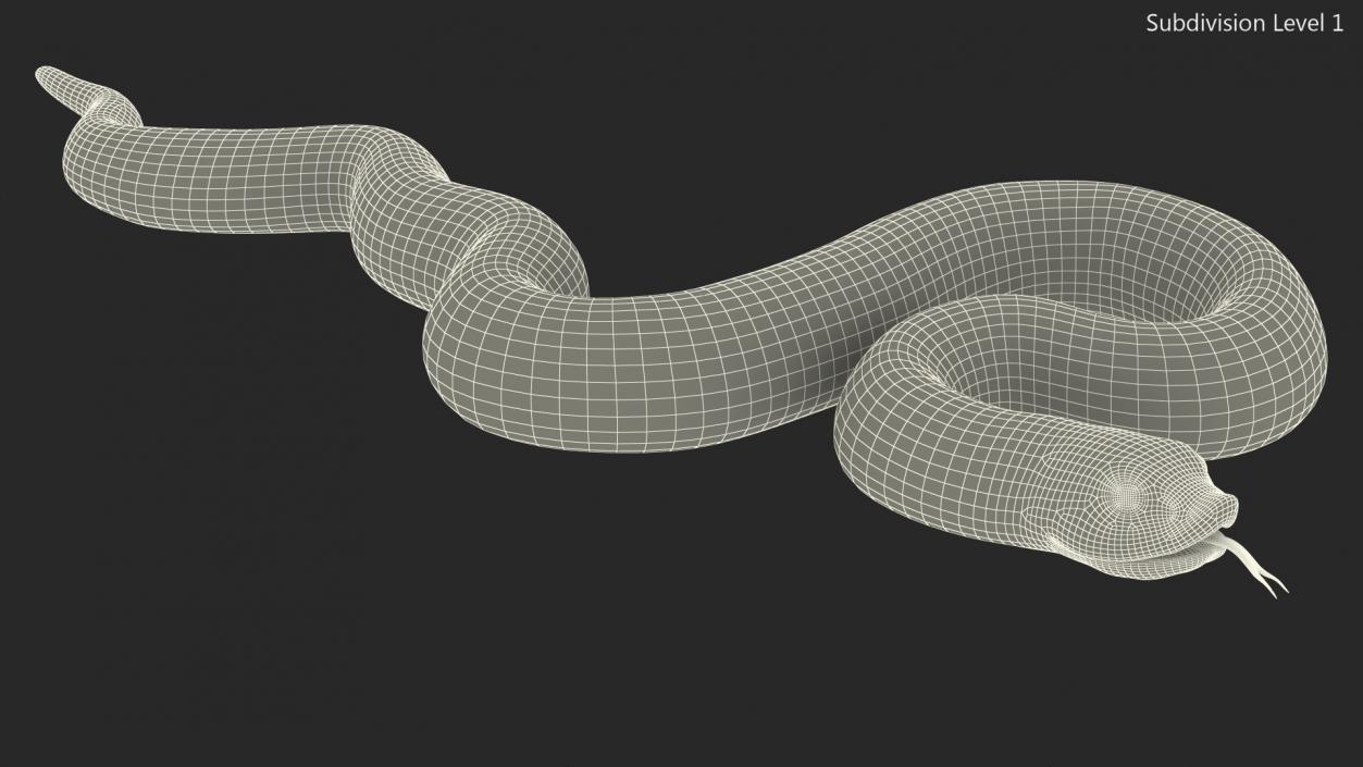 3D model Coiled Hognose Snake