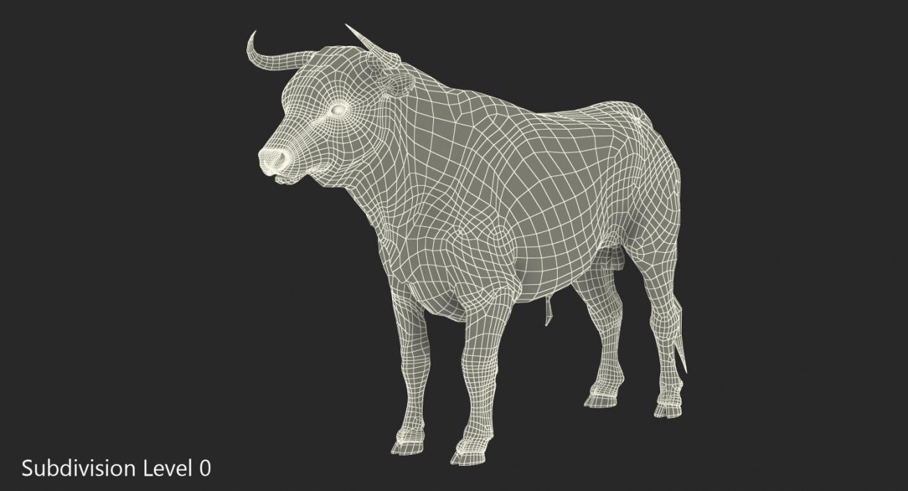 3D Bull with Fur model