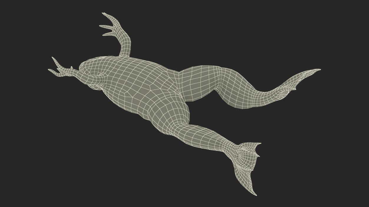 Xenopus African Clawed Toad Jump Pose 3D