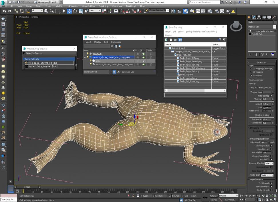 Xenopus African Clawed Toad Jump Pose 3D