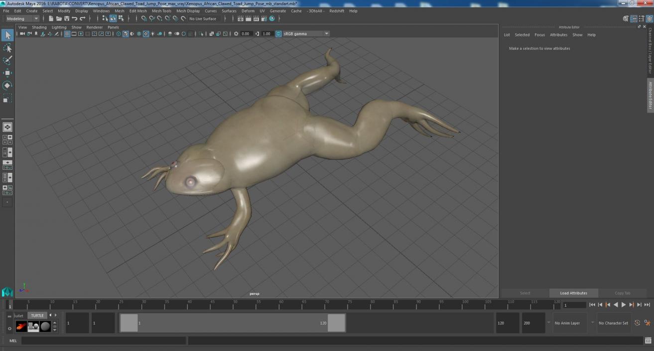 Xenopus African Clawed Toad Jump Pose 3D