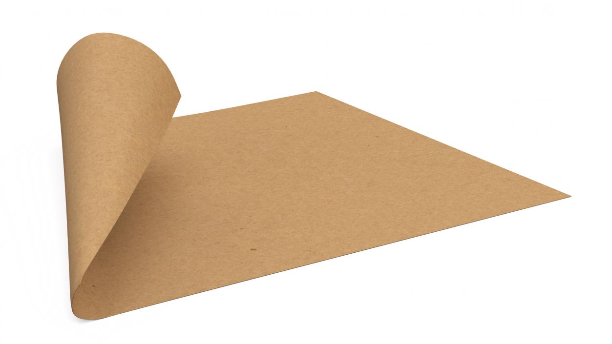 Curled Brown Paper Sheet 3D model