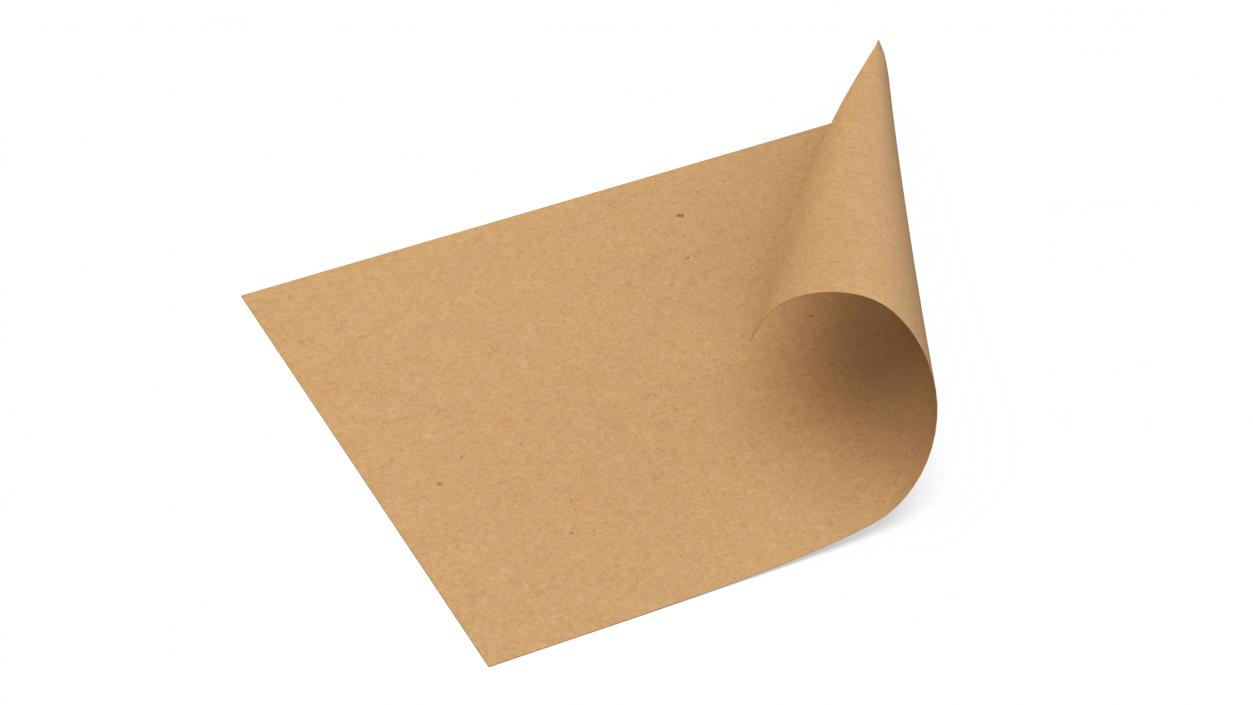 Curled Brown Paper Sheet 3D model