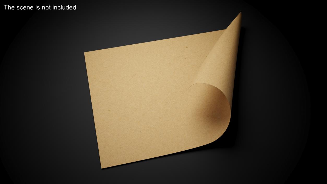 Curled Brown Paper Sheet 3D model