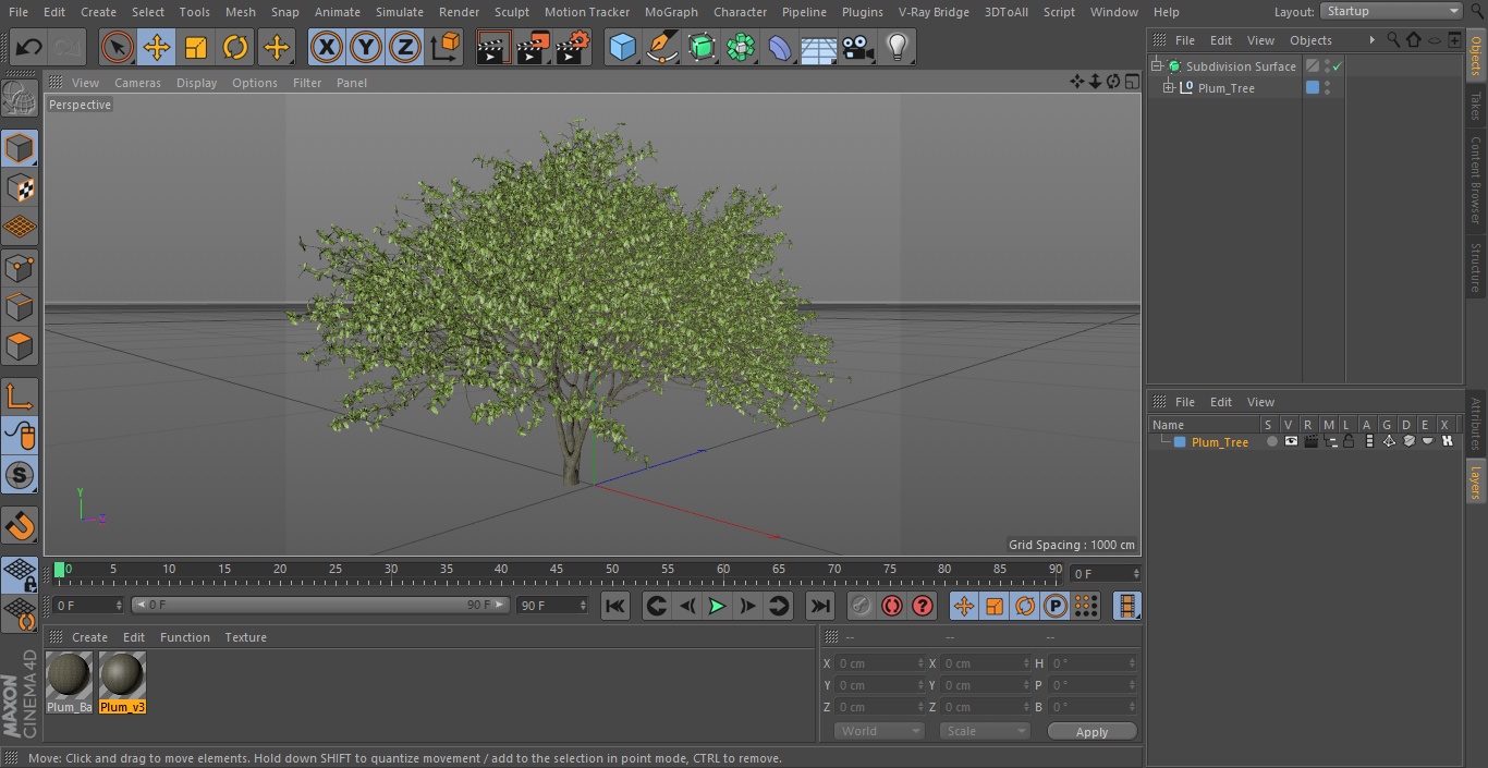 Plum Tree 3D model