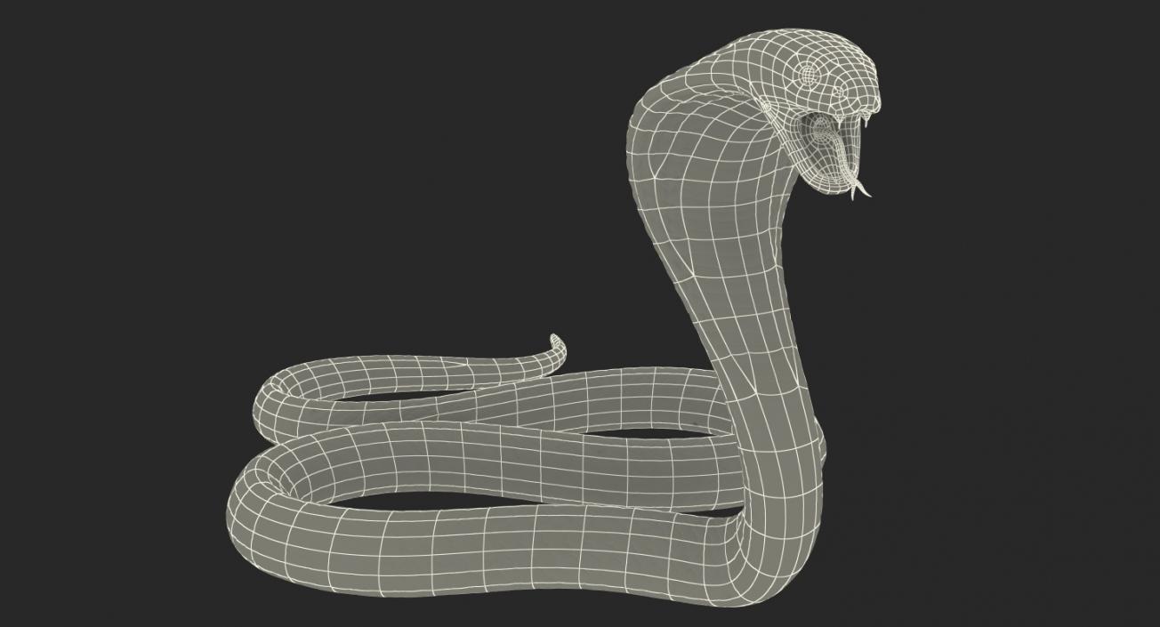 Snakes Collection 4 3D model