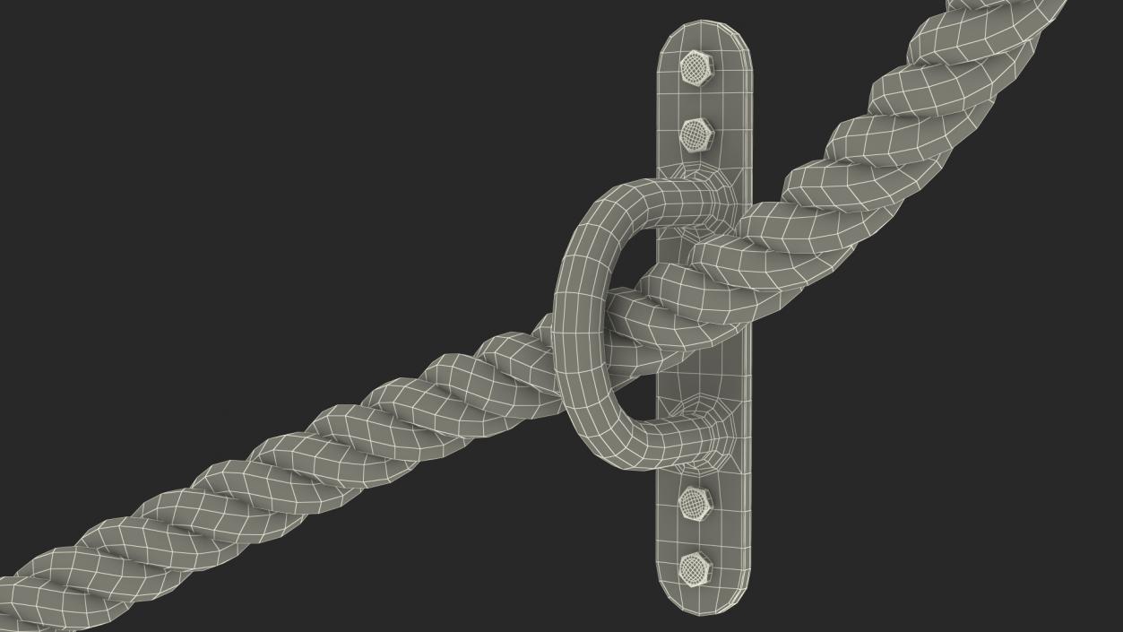 3D model Pure2Improve Battle Rope with Wall Mount