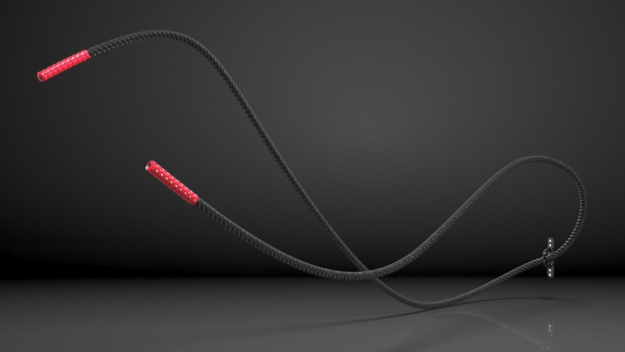 3D model Pure2Improve Battle Rope with Wall Mount