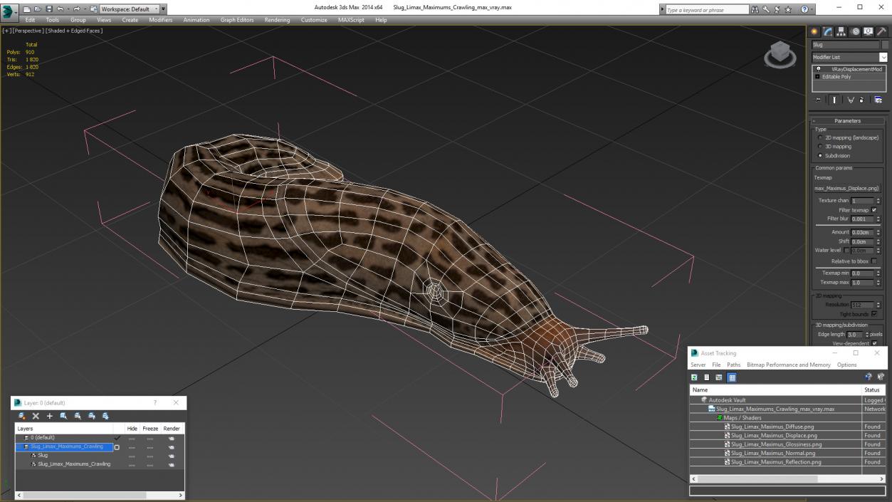 3D Slug Limax Maximums Crawling model