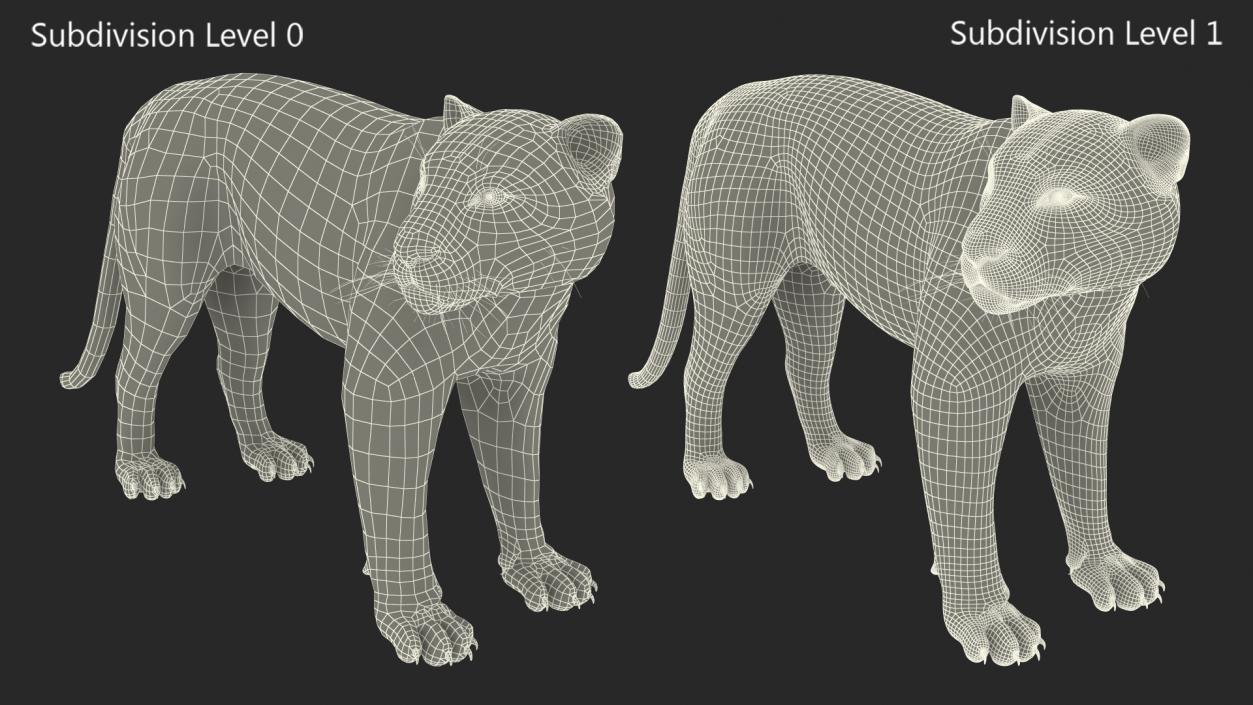 Jaguar Stand Pose 3D