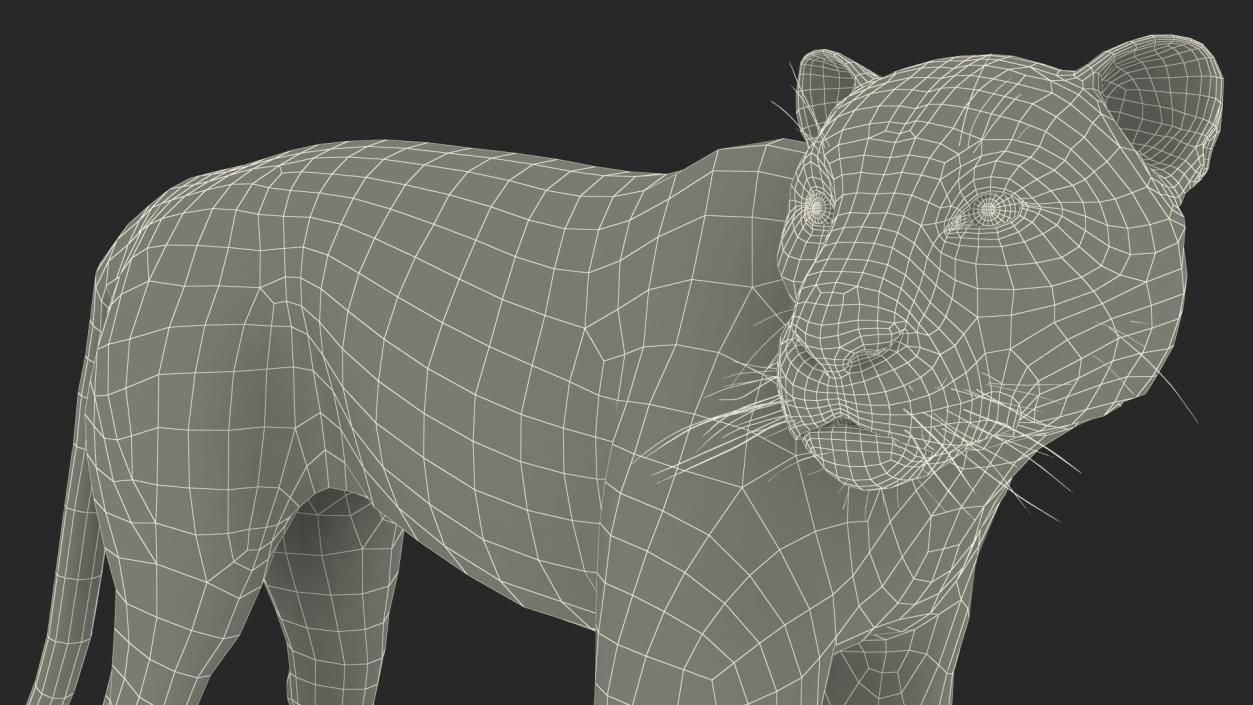 Jaguar Stand Pose 3D