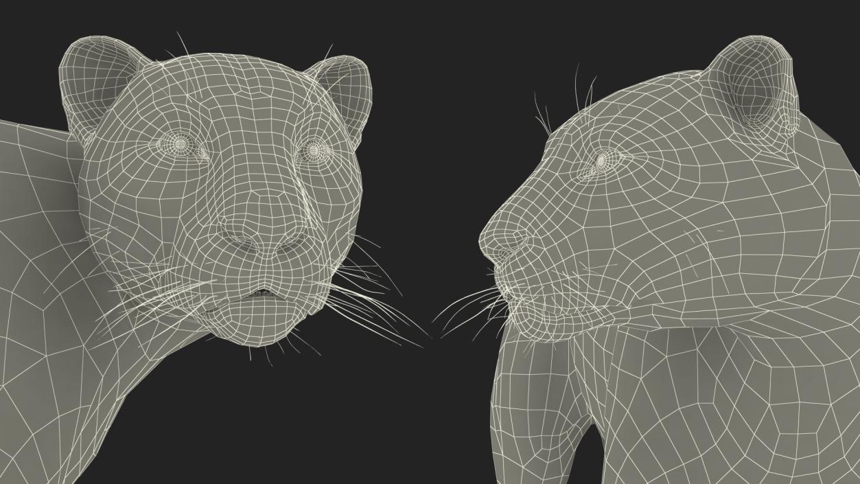 Jaguar Stand Pose 3D