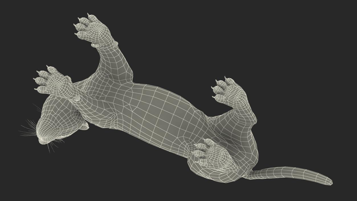 Jaguar Stand Pose 3D