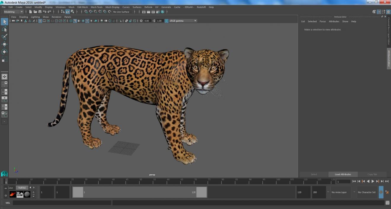 Jaguar Stand Pose 3D