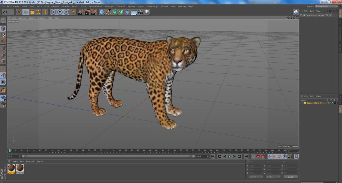 Jaguar Stand Pose 3D