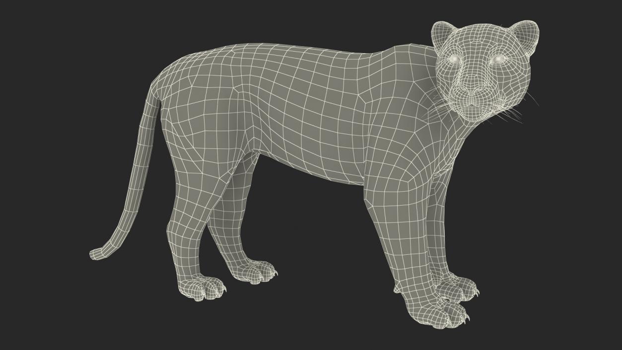 Jaguar Stand Pose 3D