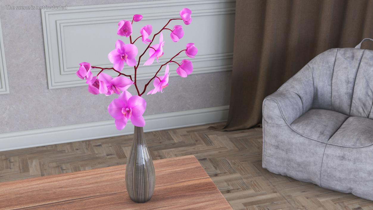 3D model Phalaenopsis Pink Orchid Stem in Ceramic Vase