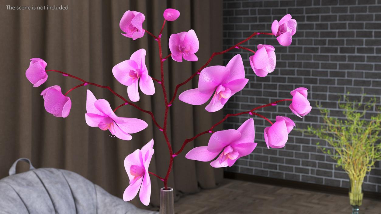 3D model Phalaenopsis Pink Orchid Stem in Ceramic Vase