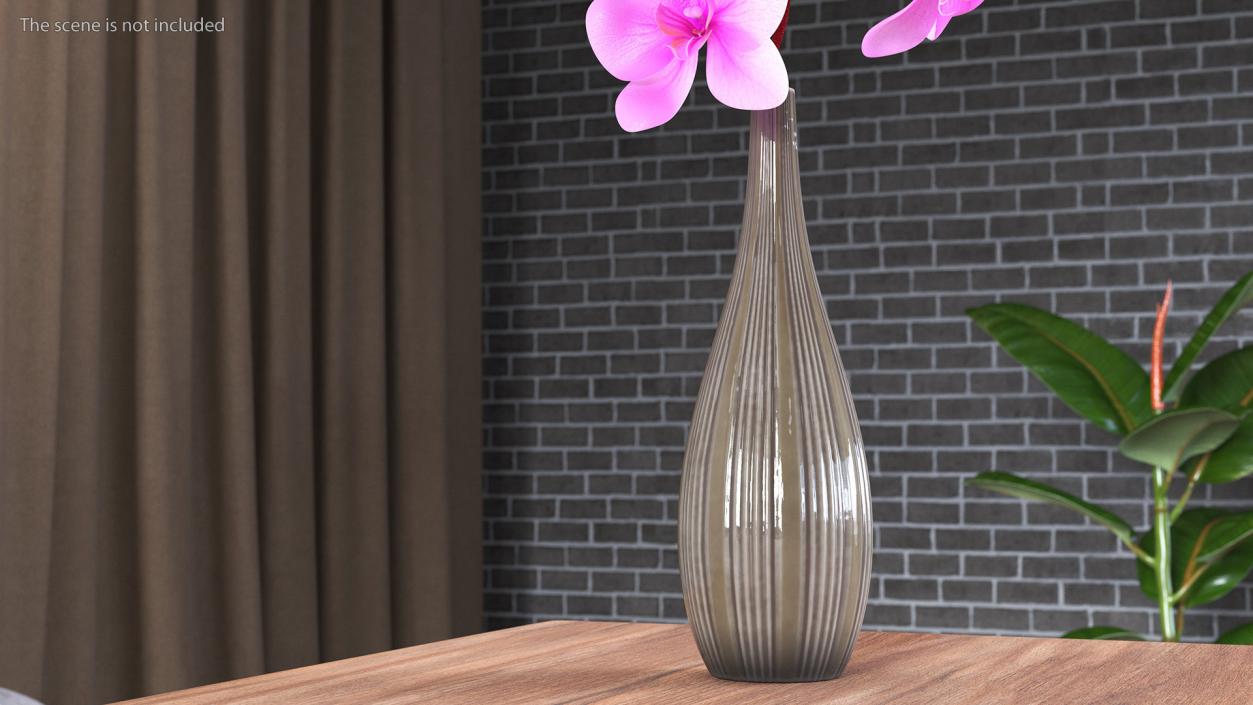 3D model Phalaenopsis Pink Orchid Stem in Ceramic Vase