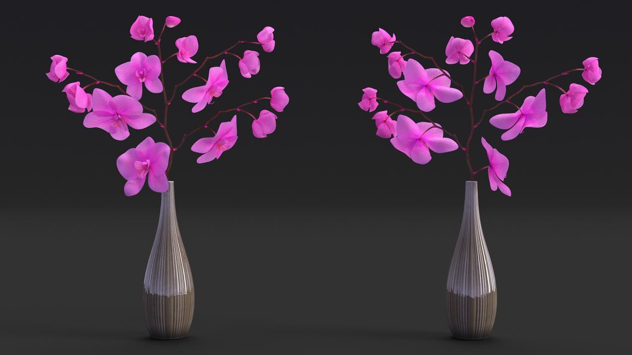 3D model Phalaenopsis Pink Orchid Stem in Ceramic Vase