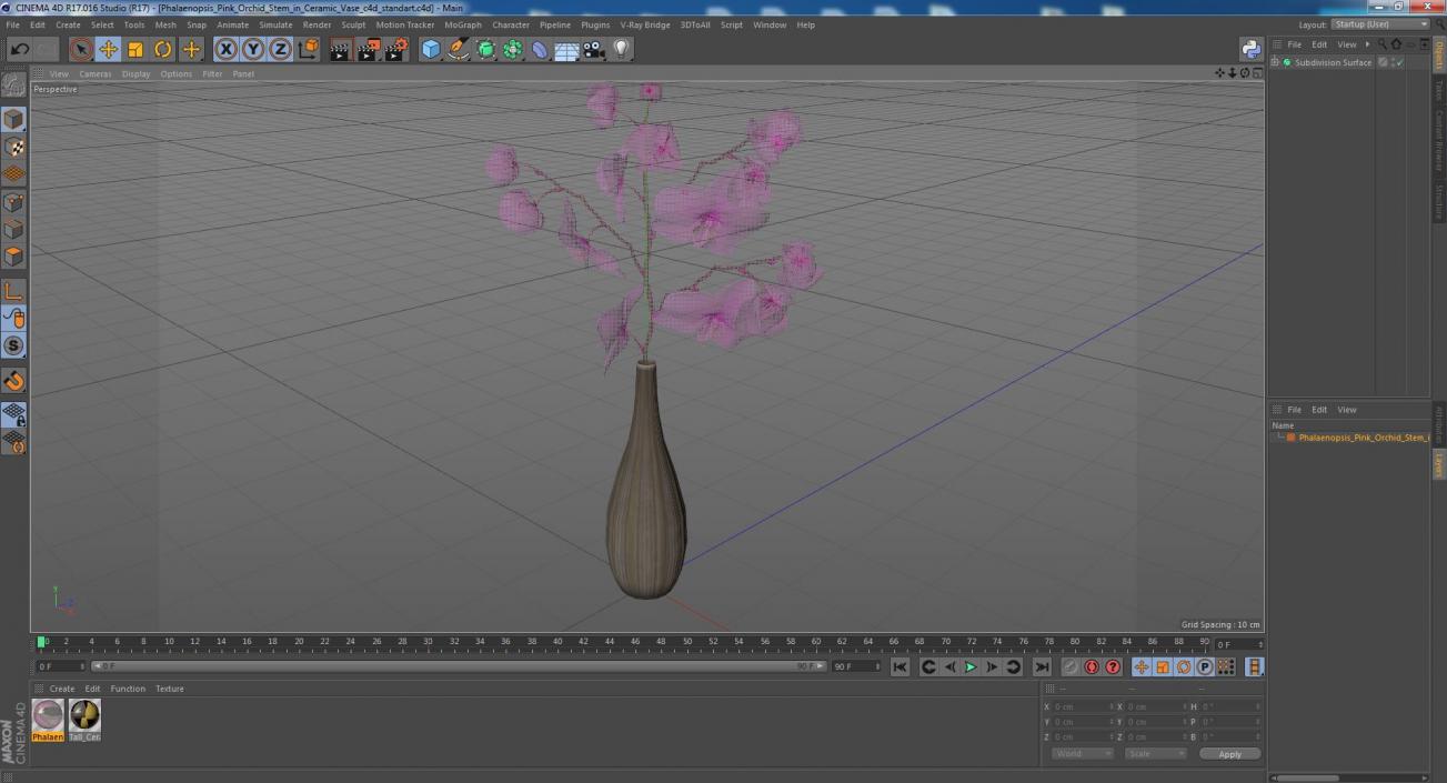 3D model Phalaenopsis Pink Orchid Stem in Ceramic Vase