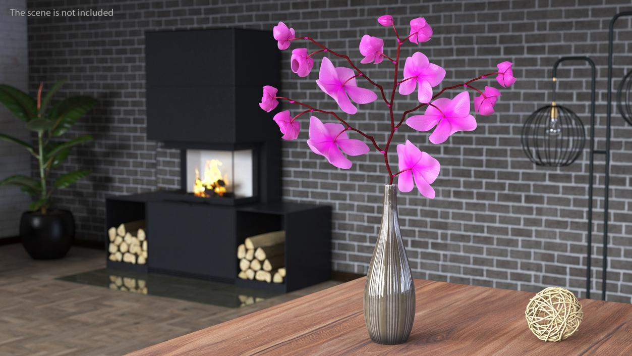 3D model Phalaenopsis Pink Orchid Stem in Ceramic Vase