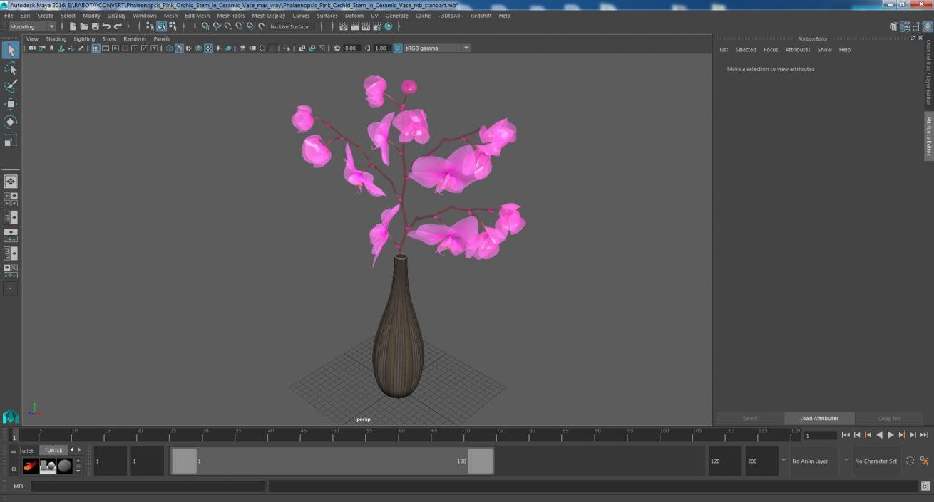 3D model Phalaenopsis Pink Orchid Stem in Ceramic Vase