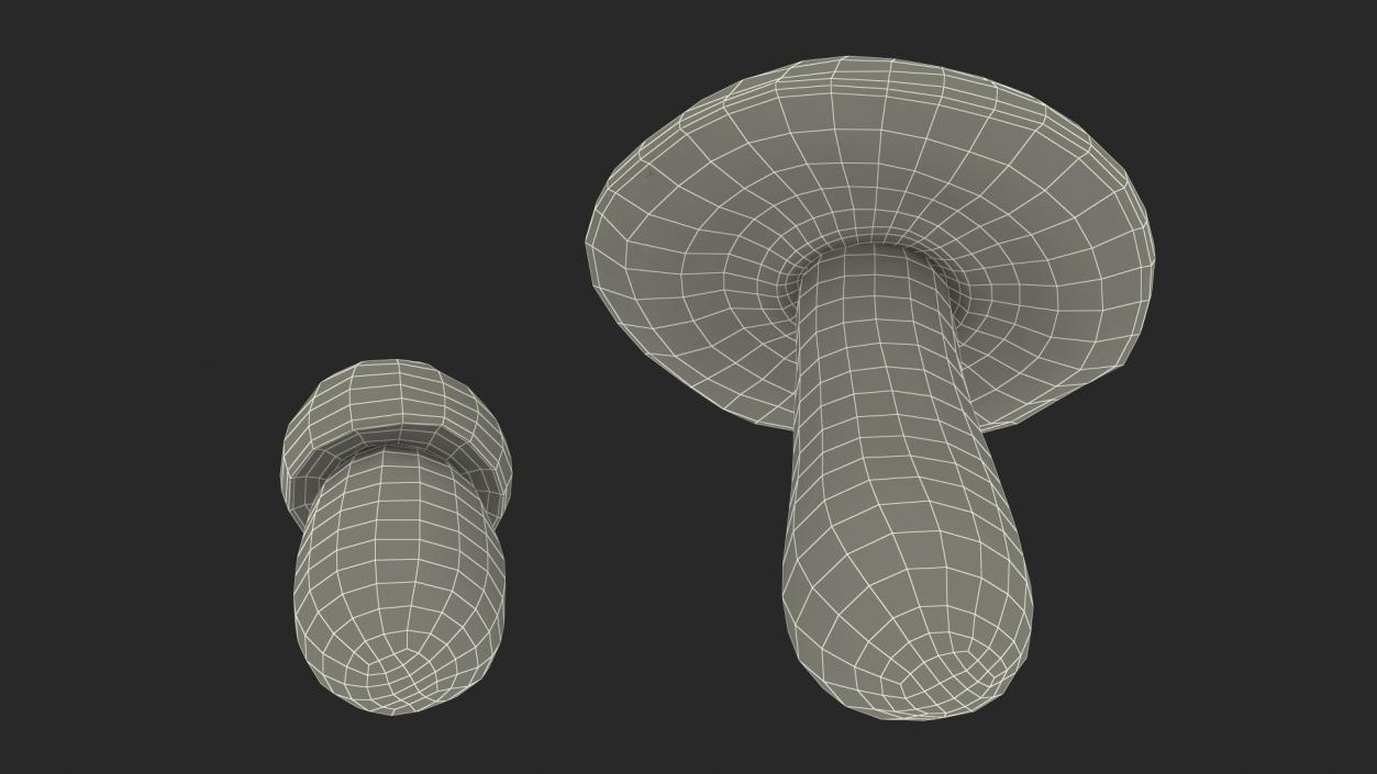 Boletus Edulis 3D model