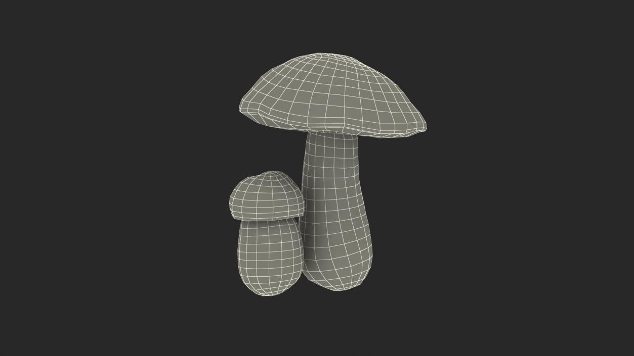 Boletus Edulis 3D model