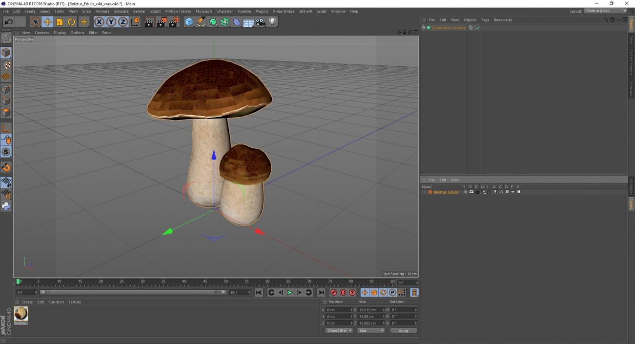 Boletus Edulis 3D model