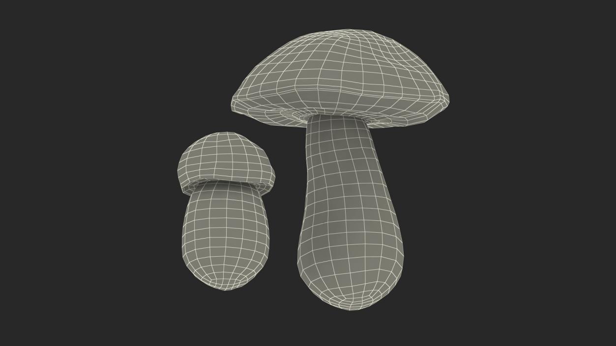 Boletus Edulis 3D model