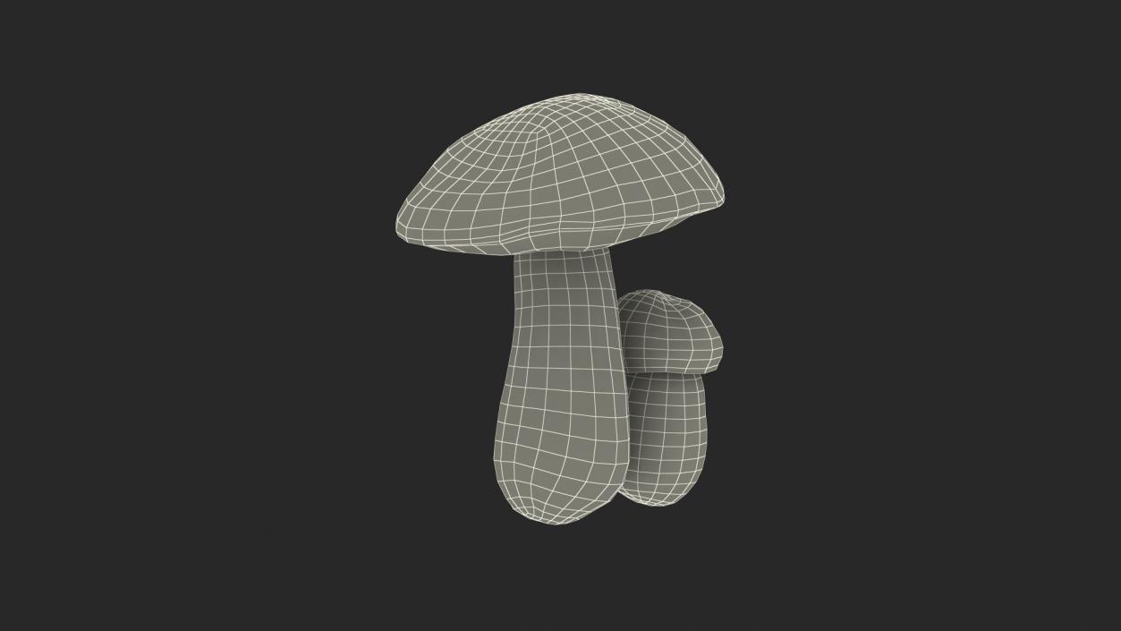 Boletus Edulis 3D model