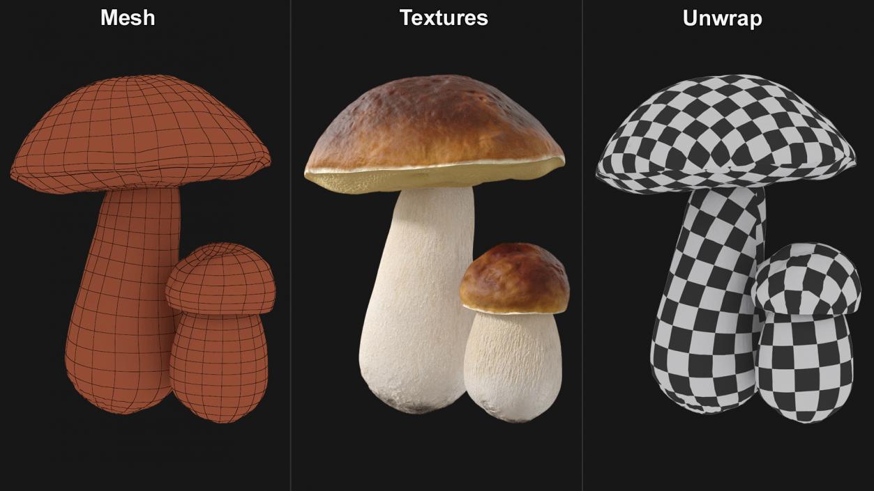 Boletus Edulis 3D model