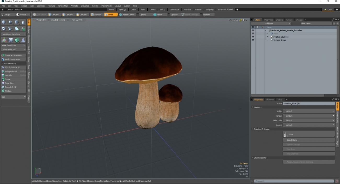 Boletus Edulis 3D model