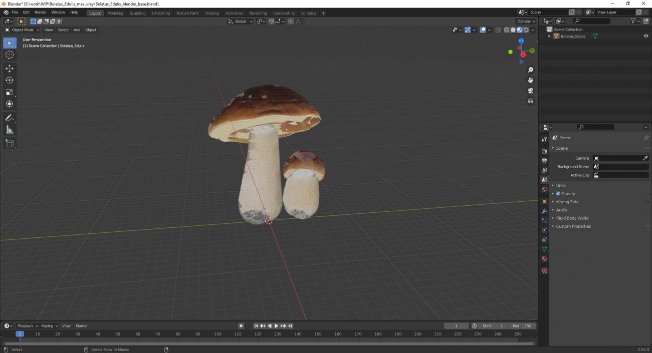 Boletus Edulis 3D model