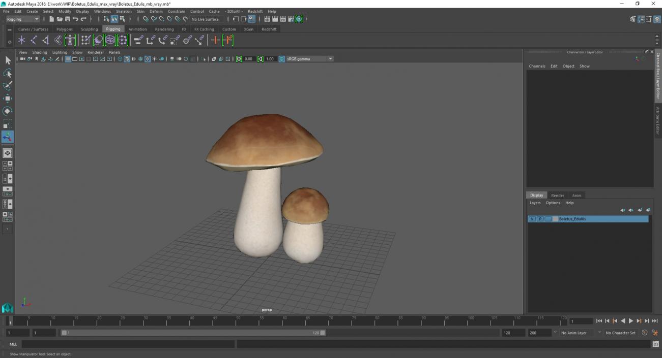 Boletus Edulis 3D model