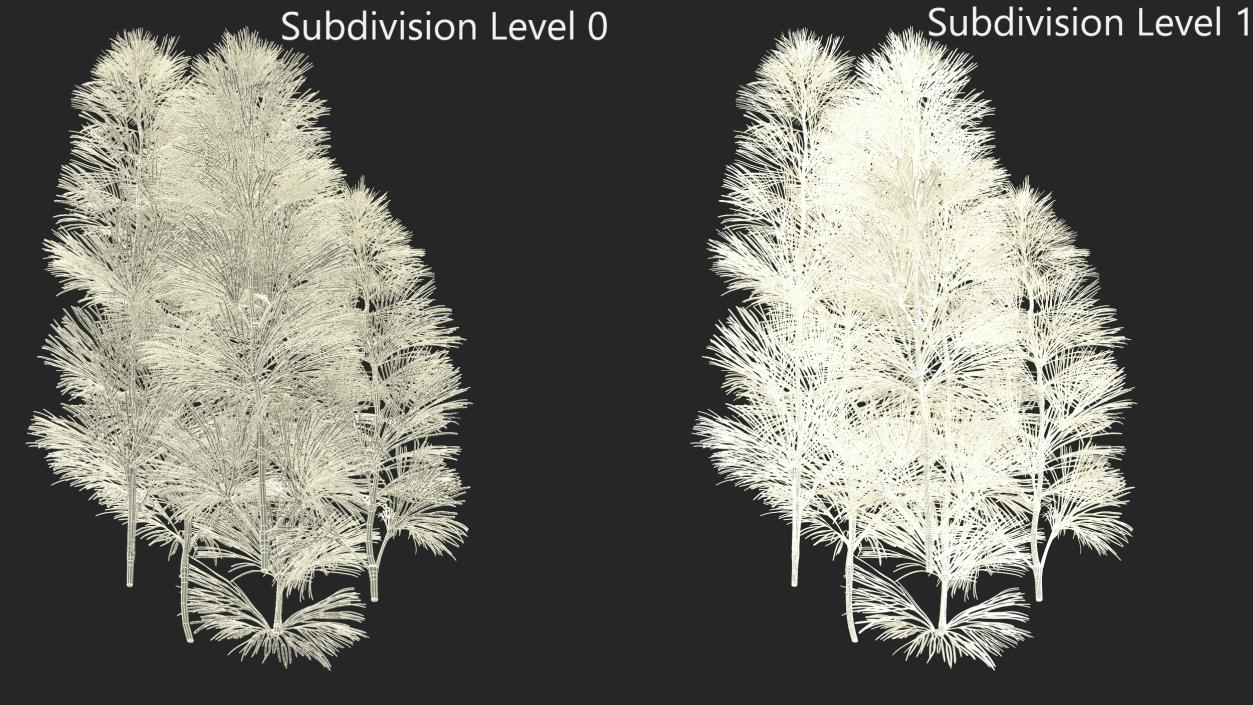 Cabomba Aquarium Plant 3D