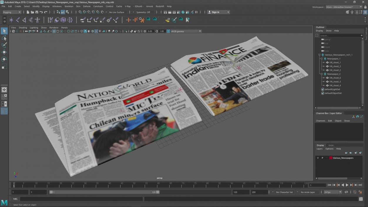 3D Various Newspapers model