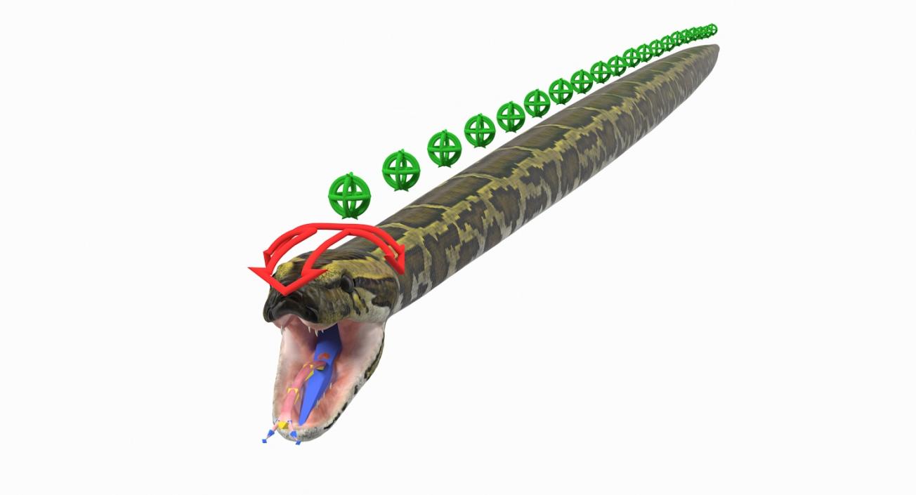 3D model Green Python Snake Rigged