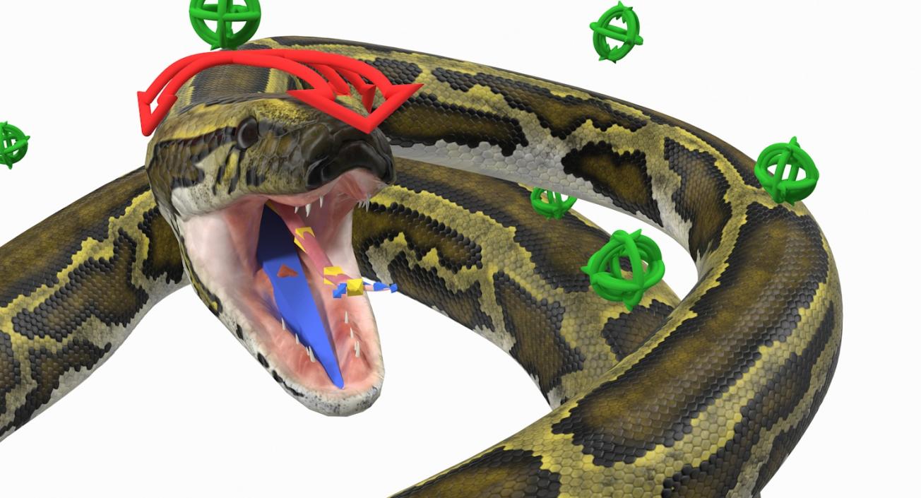 3D model Green Python Snake Rigged