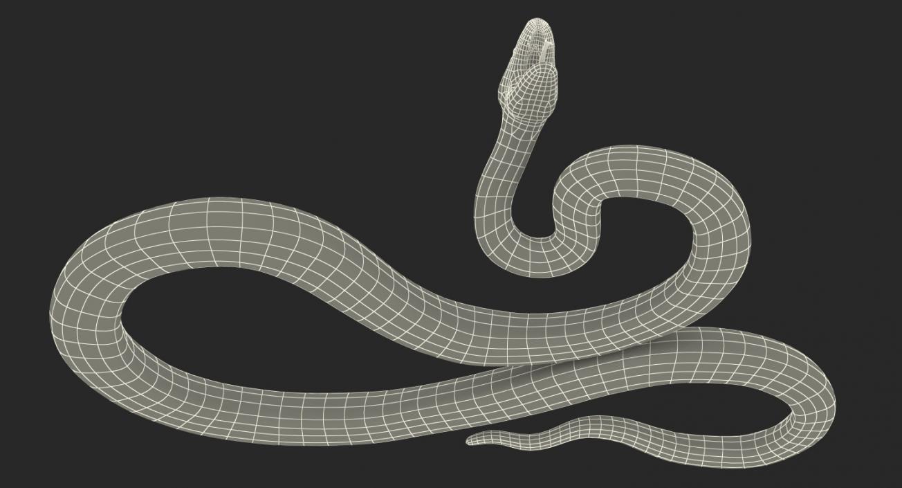 3D model Green Python Snake Rigged