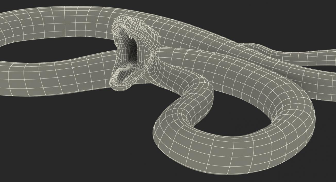 3D model Green Python Snake Rigged