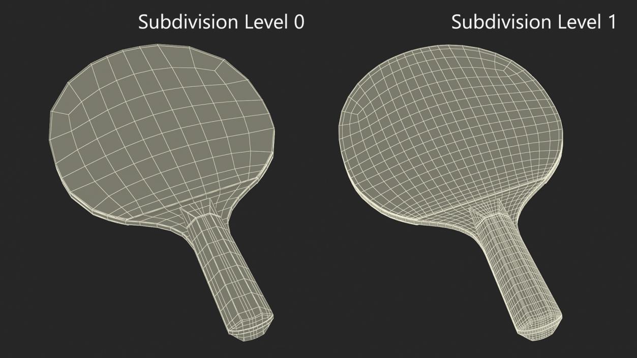 3D Ping Pong Racket