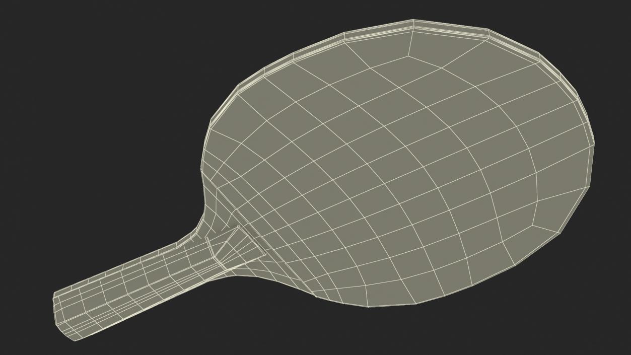 3D Ping Pong Racket